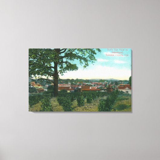 Aerial View of the TownSebastopol, CA キャンバスプリント (正面)