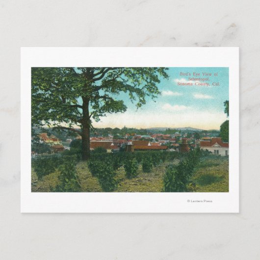 Aerial View of the TownSebastopol, CA ポストカード (正面)