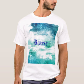 aerophysics tシャツ