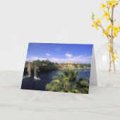 AF、エジプト、上部エジプト、アスワン。ナイル川 カード (黄色い花)