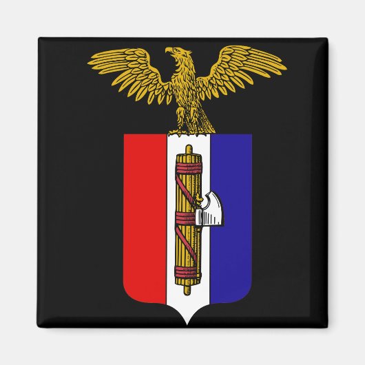 AfA:アメリカの代替 マグネット (正面)