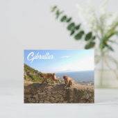 Affen auf dem Fels in Gibraltar ポストカード (スタンド正面)