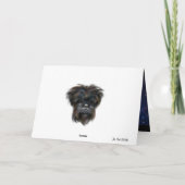 AFFENPINSCHER カード (裏面)
