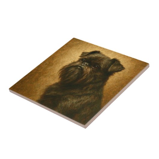 Affenpinscher タイル (側面)