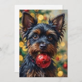 Affenpinscher Dog with Christmas Ornament シーズンカード (正面/裏面)