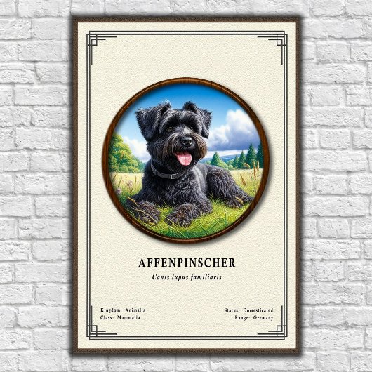 Affenpinscher Zoology Series ポスター
