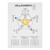 Affiche 5 éléments Médecine Chinoise ポスター (正面)