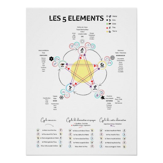Affiche 5 éléments Médecine Chinoise ポスター (正面)