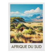 Affiche Afrique du Sud ポスター (正面)