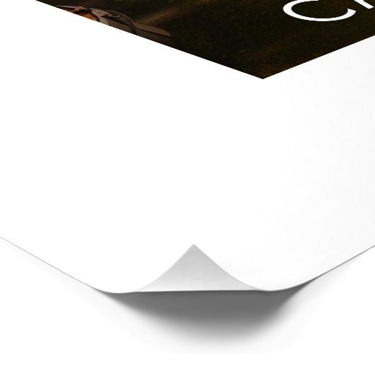 Affiche Canal du midi - France - illustration ポスター (コーナー)