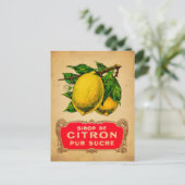 Affiche citron, lemon, fruit, citrus, green, yello ポストカード (スタンド正面)