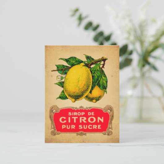 Affiche citron, lemon, fruit, citrus, green, yello ポストカード (スタンド正面)