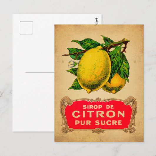 Affiche citron, lemon, fruit, citrus, green, yello ポストカード (正面/裏面)