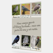 Affiche Collage d’Oiseaux de l'Étang Burbank – アクリルサイン (傾斜)