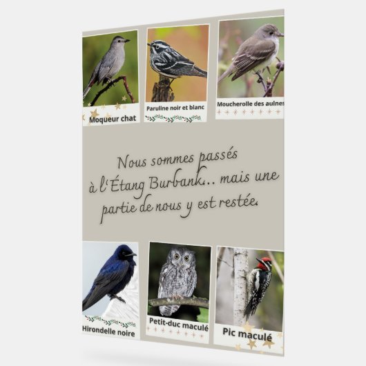 Affiche Collage d’Oiseaux de l'Étang Burbank – アクリルサイン (傾斜)