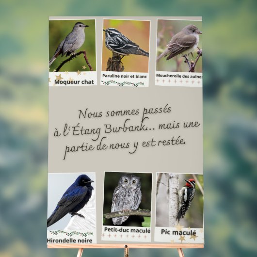 Affiche Collage d’Oiseaux de l'Étang Burbank – アクリルサイン (ニュートラル)