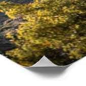 Affiche Dessin panneau Hollywood  ポスター (角)