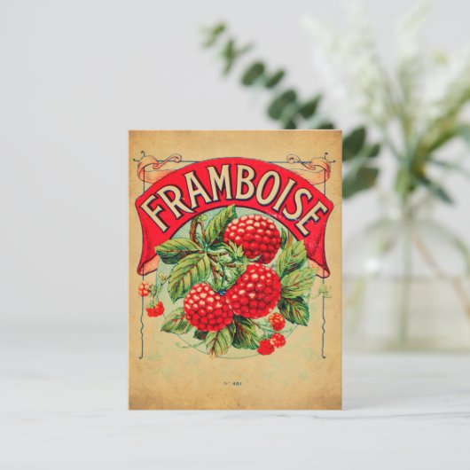 Affiche framboise, fruit, strawberry, raspberry, s ポストカード (スタンド正面)