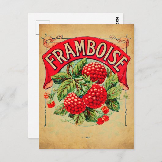 Affiche framboise, fruit, strawberry, raspberry, s ポストカード (正面/裏面)