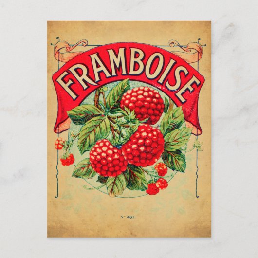 Affiche framboise, fruit, strawberry, raspberry, s ポストカード (正面)