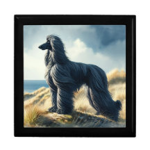 Afghan Hound