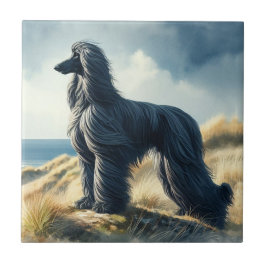 Afghan Hound タイル