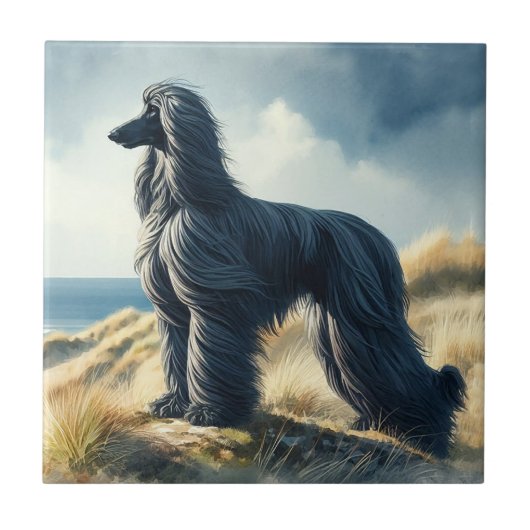 Afghan Hound タイル (正面)