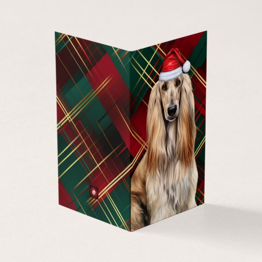 Afghan Hound Christmas Dog with Holiday Plaid (外部)