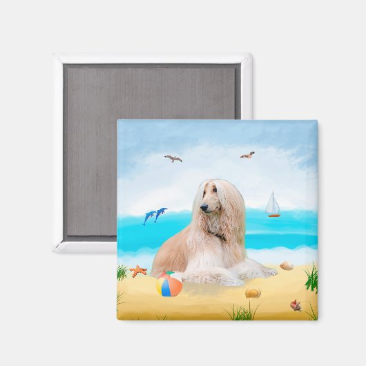 Afghan Hound Dog on Beach マグネット (正面/裏面)