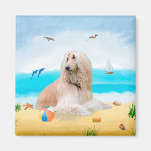 Afghan Hound Dog on Beach マグネット (正面)