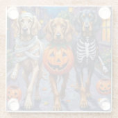 Afghan Hound Dogs Trick-or-Treating in Halloween ガラスコースター (裏面)