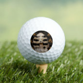 AFGHAN HOUND GOLD  ゴルフボール (インサイチュ 木)