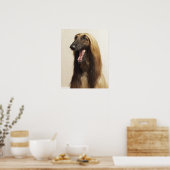 Afghan hound sitting in room ポスター (キッチン)