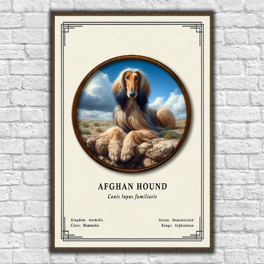 Afghan Hound Zoology Series ポスター
