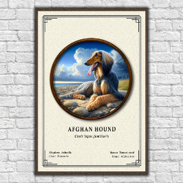 Afghan Hound Zoology Series ポスター