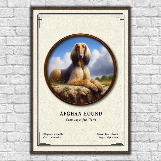Afghan Hound Zoology Series ポスター