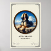 Afghan Hound Zoology Series ポスター (正面)