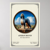 Afghan Hound Zoology Series ポスター (正面)