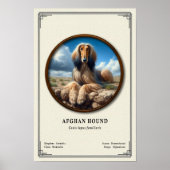 Afghan Hound Zoology Series ポスター (正面)