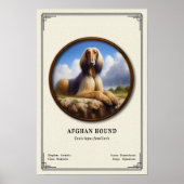 Afghan Hound Zoology Series ポスター (正面)