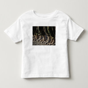 Afghan National Army Air Corpの兵士 トドラーTシャツ