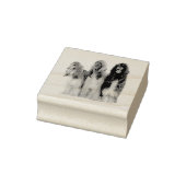 Afghanische Windhunde ラバースタンプ (スタンプ)