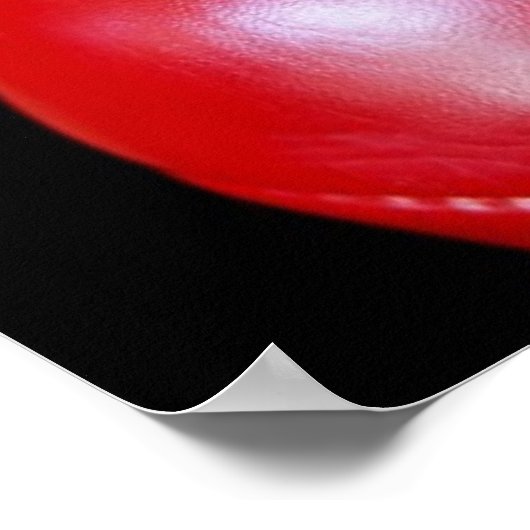 AFL ポスター (角)