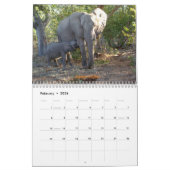 Africa - 2026 Calendar カレンダー (2月 2026)