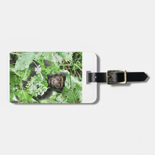 Africa - Gorilla Baby ラゲッジタグ (正面横)