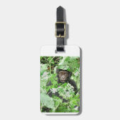 Africa - Gorilla Baby ラゲッジタグ (正面縦)