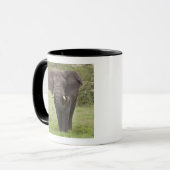 Africa Tanzania Elephant at Ngorongoro Crater マグカップ (正面左)