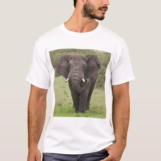 Africa Tanzania Elephant at Ngorongoro Crater Tシャツ (正面)