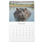 Africa Wildlife Calendar 2026 / African Animals カレンダー (2月 2026)