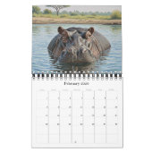 Africa Wildlife Calendar 2026 / African Animals 2 カレンダー (2月 2026)